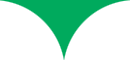 ws-email-pointer-shape-green